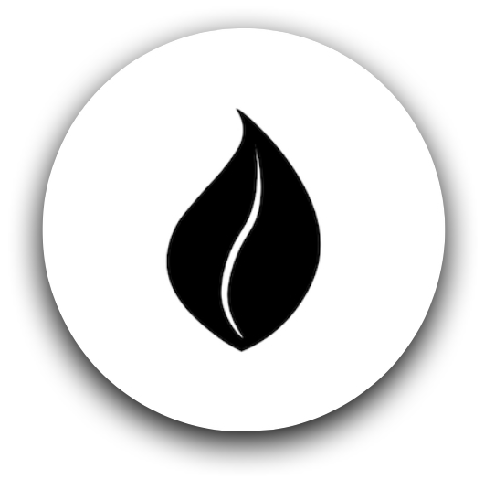 Organic Executive Inc.